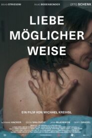 Liebe möglicherweise 2016 one on netflix