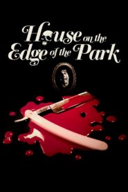 House on the Edge of the Park 1980 one on netflix