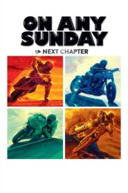 On Any Sunday: The Next Chapter 2014 one on netflix