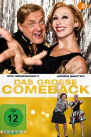 Das große Comeback 2011 one on netflix