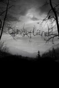 Dunderland 2012 one on netflix
