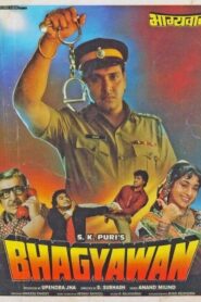 Bhagyawan 1993 one on netflix