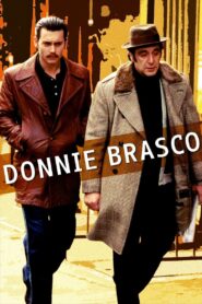 Donnie Brasco 1997 one on netflix
