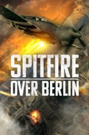 Spitfire Over Berlin 2022 one on netflix