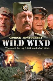 Wild Wind 1985 one on netflix