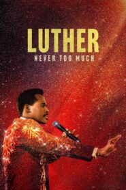Luther: Never Too Much 2024 one on netflix