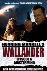 Wallander: Mastermind 2005 one on netflix