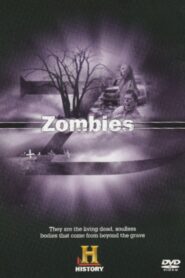Zombies 2002 one on netflix