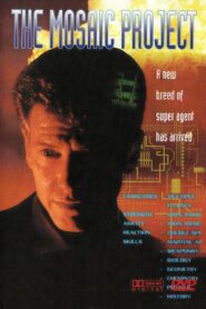 The Mosaic Project 1994 one on netflix