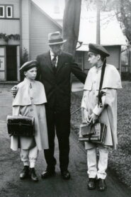 Doctor Stockmann 1989 one on netflix