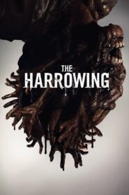 The Harrowing 2017 one on netflix