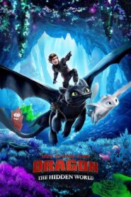 How to Train Your Dragon: The Hidden World 2019 one on netflix