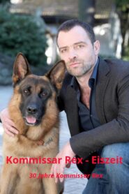 Kommissar Rex – Eiszeit 2013 one on netflix