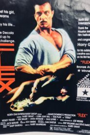 Flex 1988 one on netflix