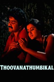 Thoovanathumbikal 1987 one on netflix