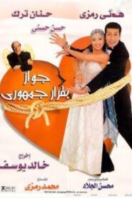 Marriage by Presidential Decree 2001 one on netflix