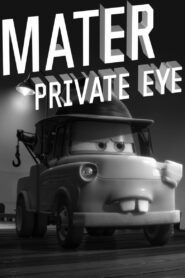 Mater Private Eye 2010 one on netflix