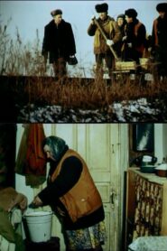 Dream in broad daylight 1990 one on netflix