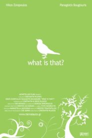 What Is That? 2007 one on netflix