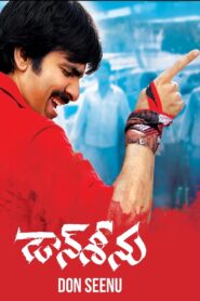 Don Seenu 2010 one on netflix