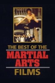 The Best of the Martial Arts Films 1990 one on netflix