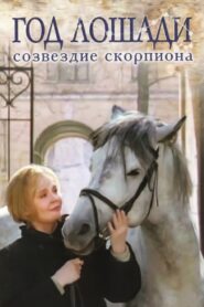 Year of the Horse – Constellation Scorpio 2003 one on netflix