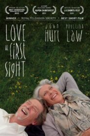Love at First Sight 2010 one on netflix