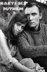 A Birdless Night 1980 one on netflix