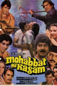 Mohabbat Ki Kasam 1986 one on netflix