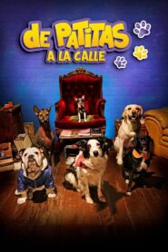 De patitas a la calle 2020 one on netflix