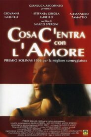 Cosa c’entra con l’amore 1997 one on netflix