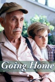 Going Home 2000 one on netflix