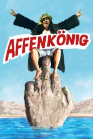 Monkey King 2016 one on netflix