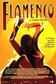 Flamenco 1995 one on netflix