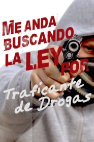Me anda buscando la ley por traficante de drogas 2000 one on netflix