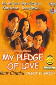 My Pledge of Love 1999 one on netflix