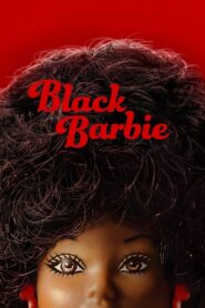 Black Barbie 2023 one on netflix