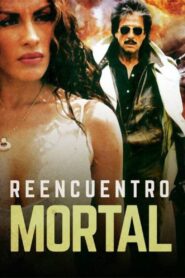 Reencuentro mortal 1996 one on netflix