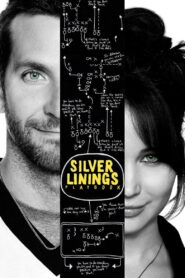 Silver Linings Playbook 2012 one on netflix