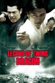 Legend of Twin Dragons 2007 one on netflix