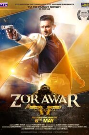 Zorawar 2016 one on netflix