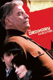 An Ordinary Execution 2010 one on netflix