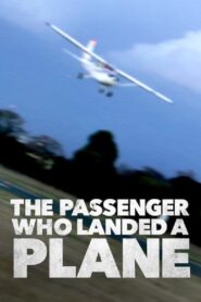 Mayday: The Passenger Who Landed a Plane 2014 one on netflix