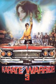 Karate Warrior 3 1991 one on netflix