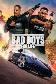 Bad Boys for Life 2020 one on netflix
