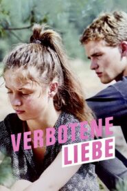 Forbidden Love 1990 one on netflix