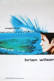 Brian Wilson’s Imagination 1998 one on netflix
