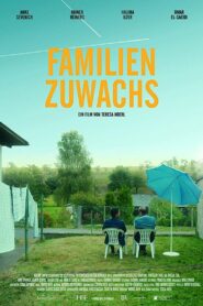 Modern Family 2017 one on netflix