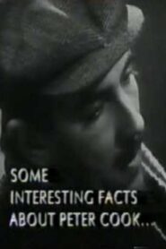 Some Interesting Facts About Peter Cook 1995 one on netflix