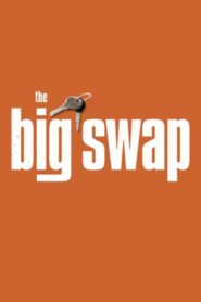 The Big Swap 1998 one on netflix